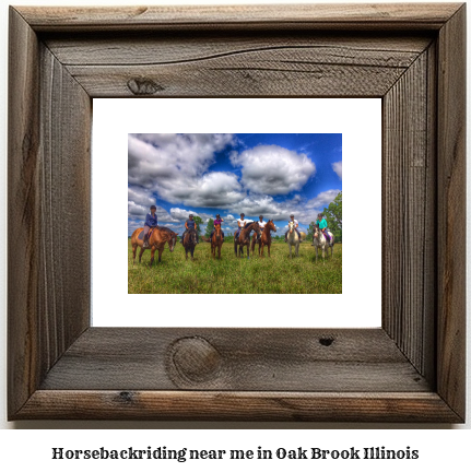 horseback riding near me in Oak Brook, Illinois